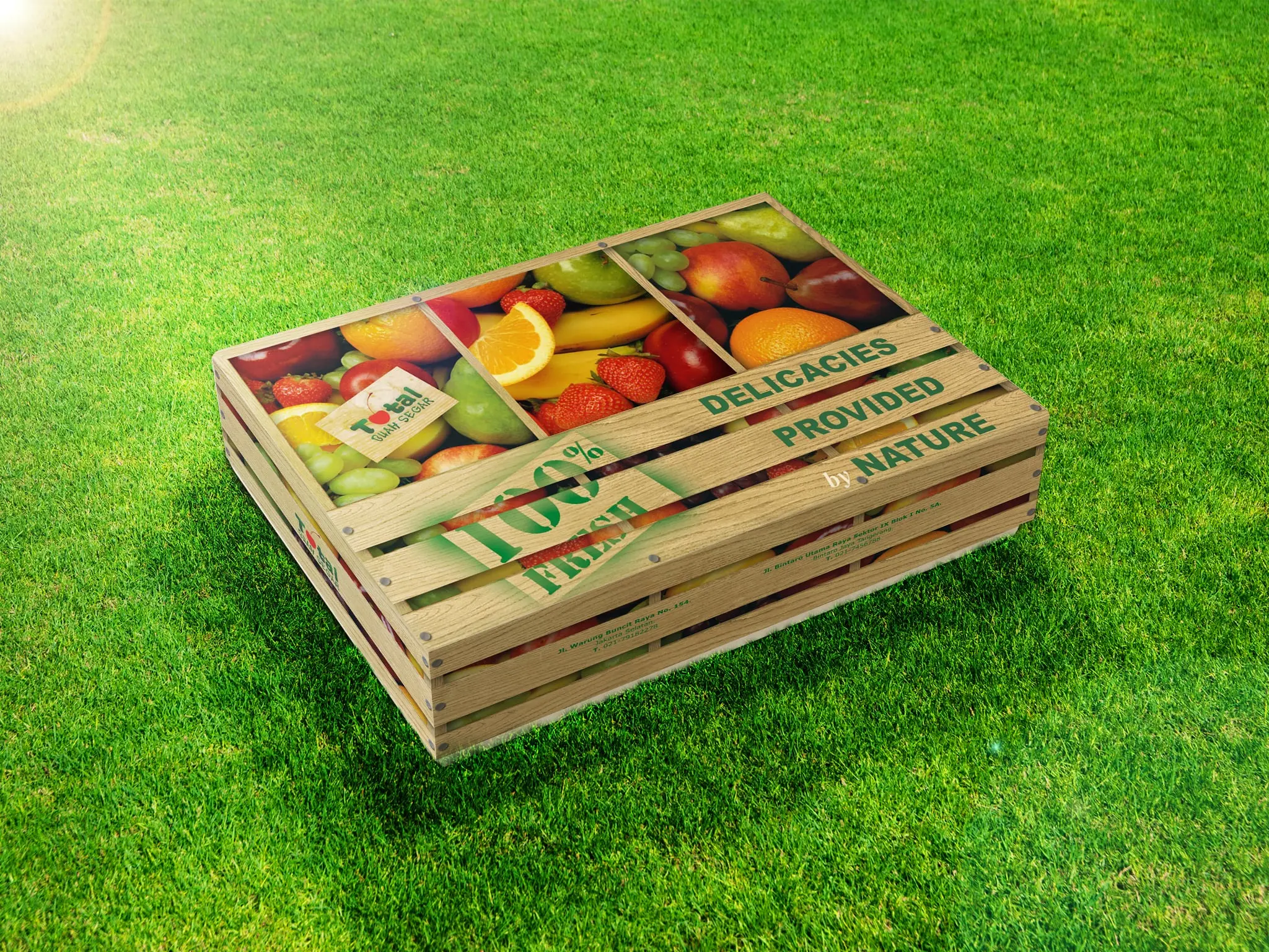Packaging Design Services, Jasa Pembuatan Desain Packaging dan Kemasan, Jakarta, Indonesia
